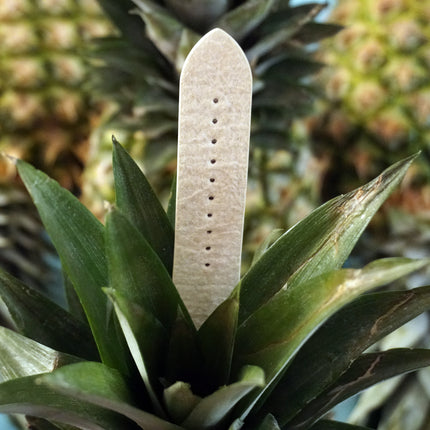 Pineapple Fibre Watch Strap